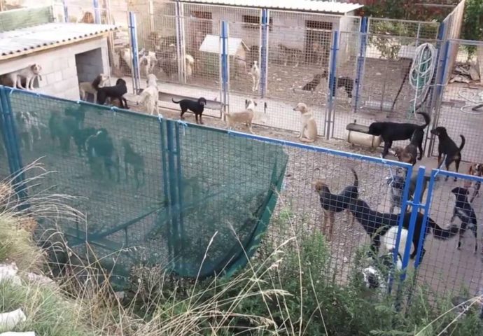 GRAD TREBINJE: Nabavka hrane za pse
