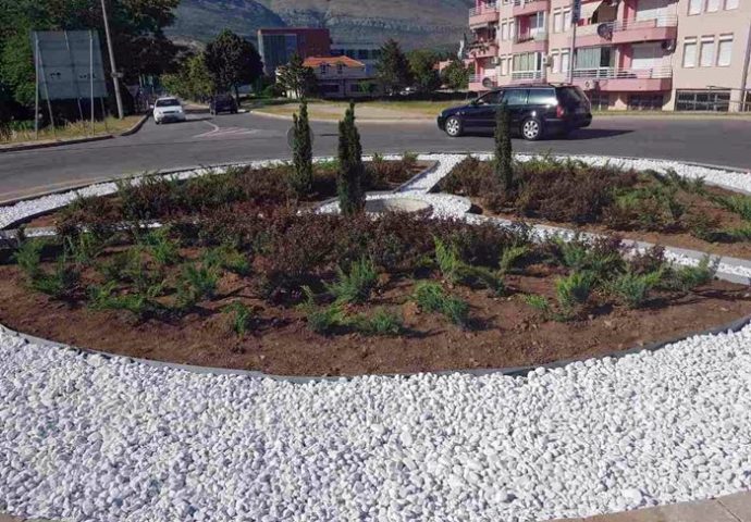 Cvijeće za potrebe grada kupovaće se od domaćih uzgajivača