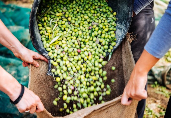 Hercegovina kao Toskana – Agroturizam na početku razvoja, tradicija i autohtoni proizvodi sve više na cijeni