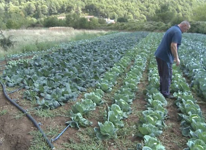 Uskoro izgradnja savremenih sistema za navodnjavanje u Trebinju i Ljubinju