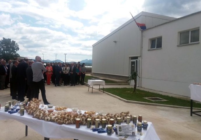 Nakon 10 godina u Ljubinju nova radna mjesta- otvorena fabrika za preradu bijelog luka