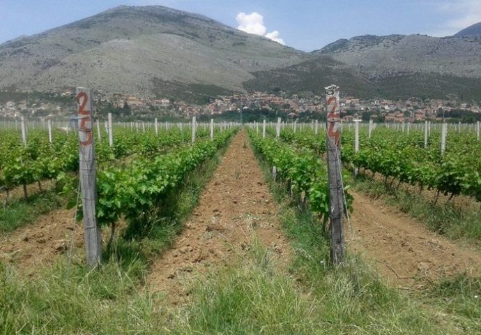 Novi regionalni centar za zaštitu od grada