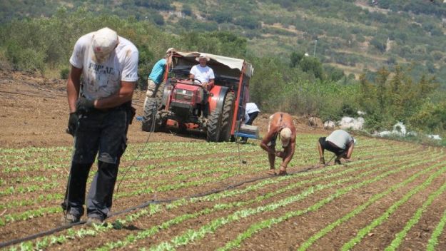 Objavljen poziv za zapošljavanje ciljnih kategorija u privredi RS – Na raspolaganju 5 mil KM