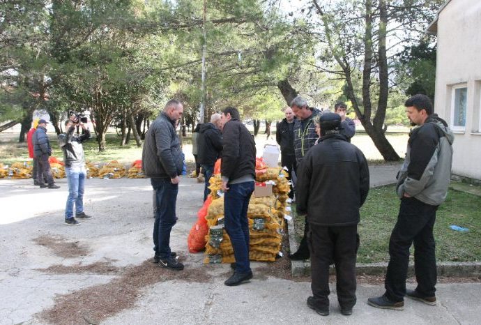 Agrarni fond obezbijedio sadni materijal za 40 poljoprivrednika
