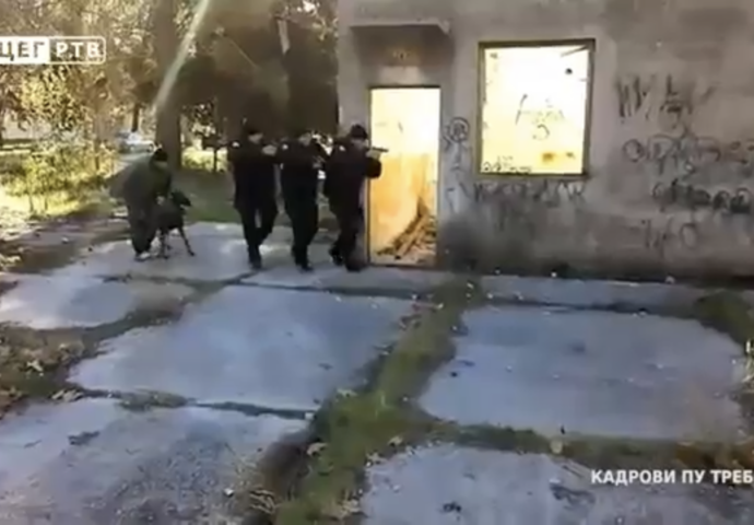 Rea, Nik i Kimbo- trebinjski čuvari reda kojima ništa ne može promaći