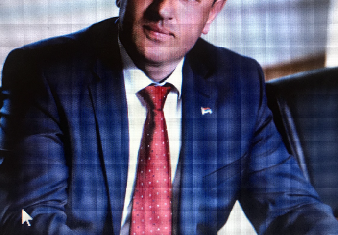 Petrović: U novom desetljeću novih 1.000 megavata električne energije