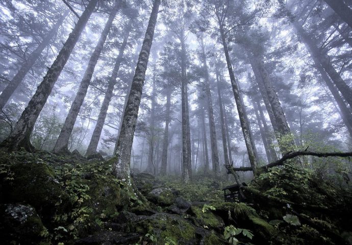 Prvi radni dan: Državljanin BiH usmrtio svog kolegu