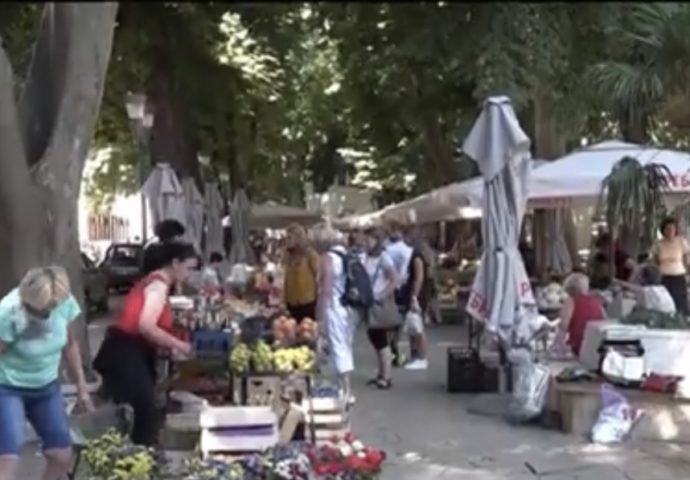 VIDEO: Trebinjka uzgaja cvijetni raj