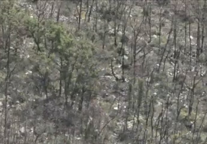 VIDEO: Posledice požara u Hercegovini vidljive na svakom koraku