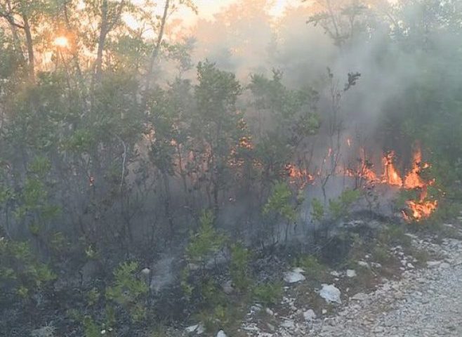 Vjetar rasplamsao požar kod Trebinja, vatra blizu kuća