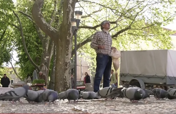 VIDEO: Milenko  iz Trebinja i golubovi nerazdvojni – Po njihovom druženju može se naviti sat